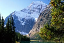 米糠、麦麸重回餐桌 你吃不吃？