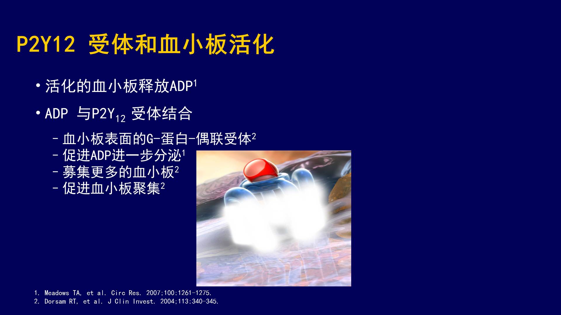肺癌放疗“双精准”规范化诊疗项目山东协作中心启动
