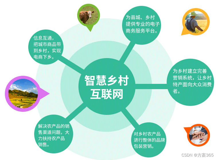 人工智能、物联网、大数据等信息技术广泛应用 为乡村全面振兴插上“数字翅膀”