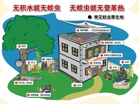 登革热的预防与治疗：保护健康，共同抵御病毒