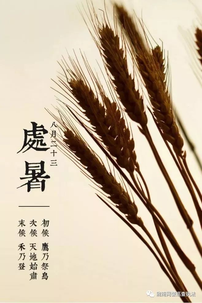 立秋之后｜迎接秋凉的处暑时节